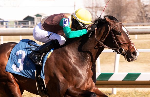 2009 Preakness Chart