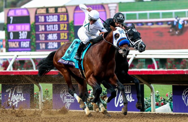 2017 Breeders Cup Charts