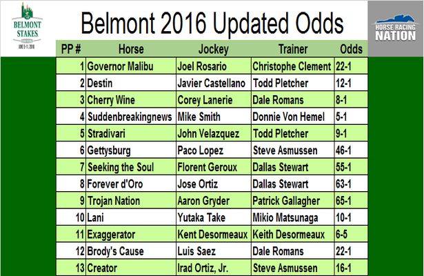 How many horses are in the field at the Belmont Stakes?