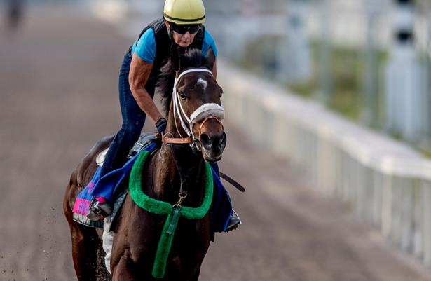 Churchill Downs Clark 2019 Odds And Analysis For Fridays Race