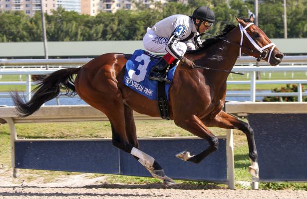 In Florida Derby Candy Tycoon Can Put Frustration Behind Him