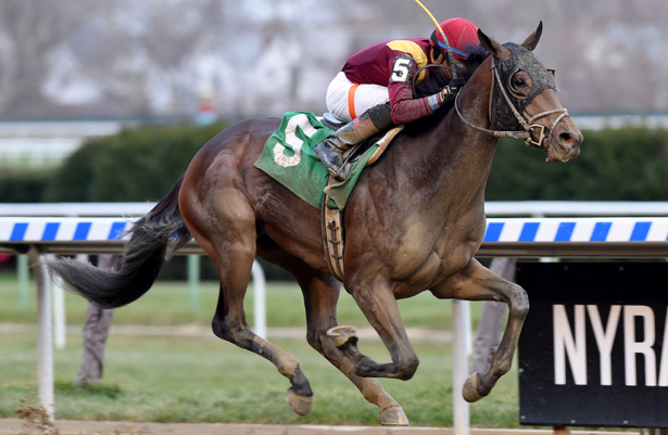 Catholic Boy sale a mostrar sus condiciones en el Sam F. Davis G3