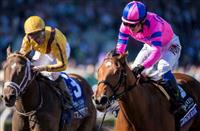 ... Houston Racing Festival - Past the Grandstand - Horse Racing Nation