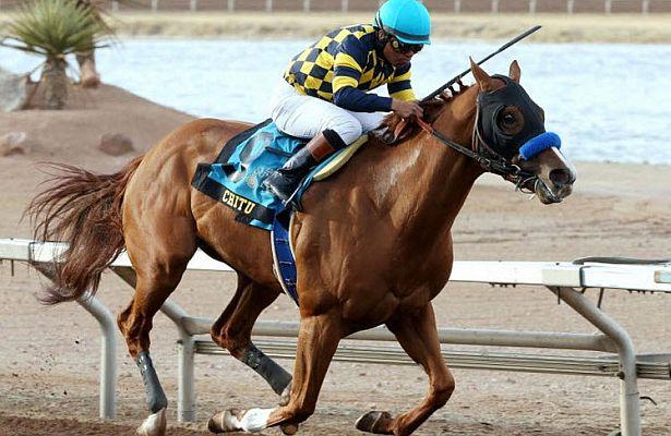 Chitu Shows Courage in Sunland Derby - Horse Racing Nation