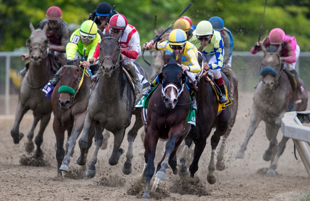 Belmont stakes contenders list