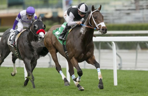 Conquest Farenheit Comes Home Hot in Baffle Stakes