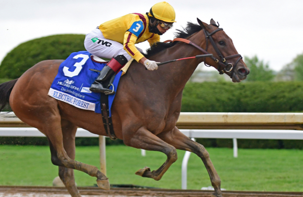 Electric Forest Uses Another Run To Win Keeneland S Doubledogdare
