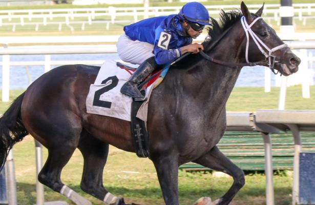 Endorsed Candy Tycoon In 6 Must Watch Oaklawn Races
