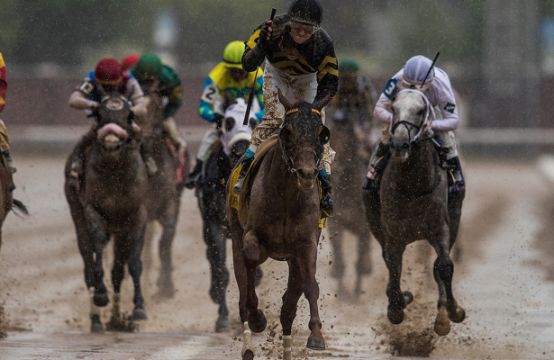 Funny Duck Gets Last Laugh Winning Pat Day Mile At Funny Duck Gets Last Laugh Winning Pat Day Mile At