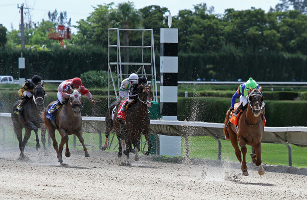 Gulfstream Park West Entries Results For Saturday 10 17 2020