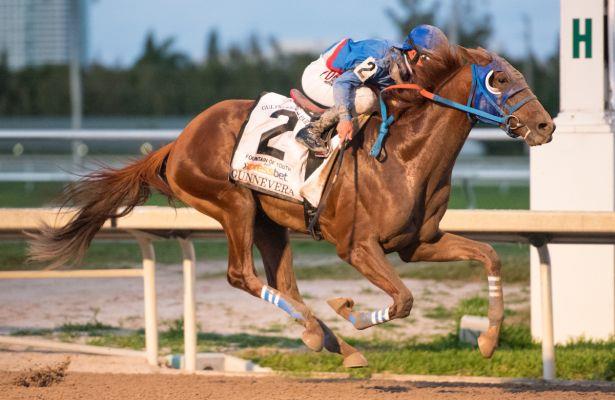 Resultado de imagen para gunnevera HORSES IMAGENES