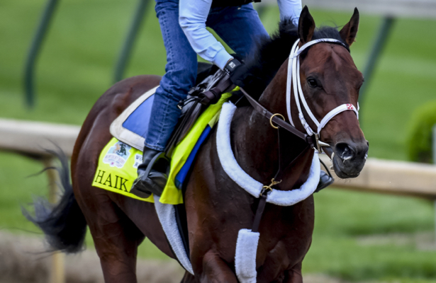 Kentucky Derby 2019 scratch haikal; field up to 19