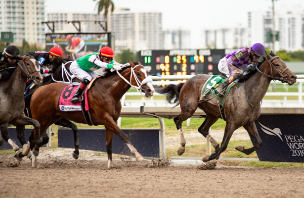 Cheers! Harvey Wallbanger upsets Holy Bull Stakes at 29-1