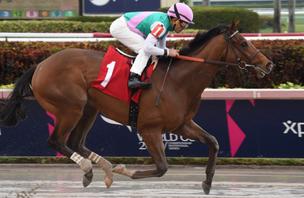 Kentucky Derby 2019 Daily: New video, same Hidden Scroll?