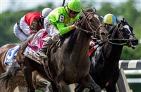 A Horse Called Hustle