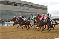 12+ Todays horse racing results mahoning valley best advice