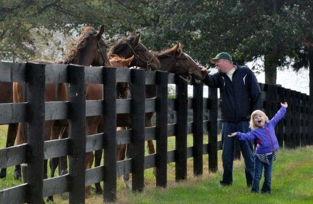 Belterra Park Entries & Results for Tuesday, 8-18-2020