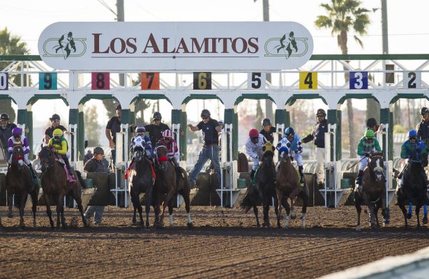 place a online bet on justify