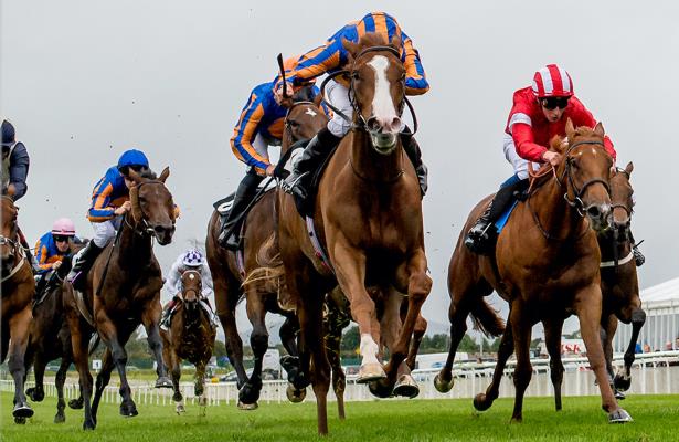 Love delivers O’Brien’s seventh 1000 Guineas win