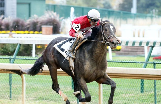 McCraken dazzles in Street Sense - Horse Racing Nation