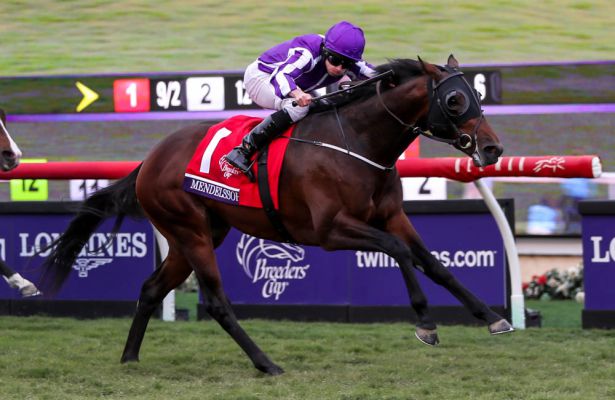 Image result for Mendelssohn racehorse