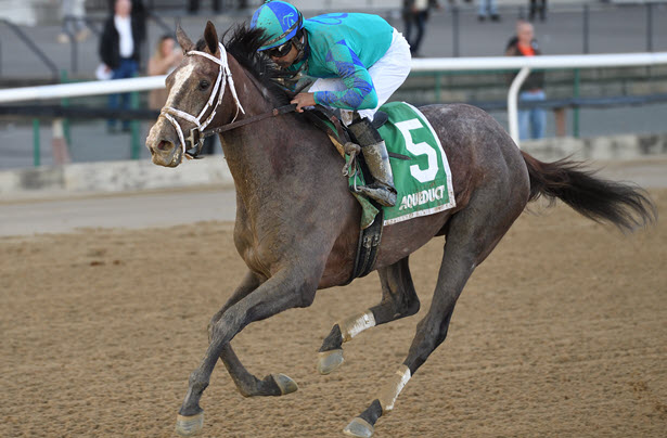 Maedean Alandra Lead Full Field Of 12 In Aqueducts Demoiselle