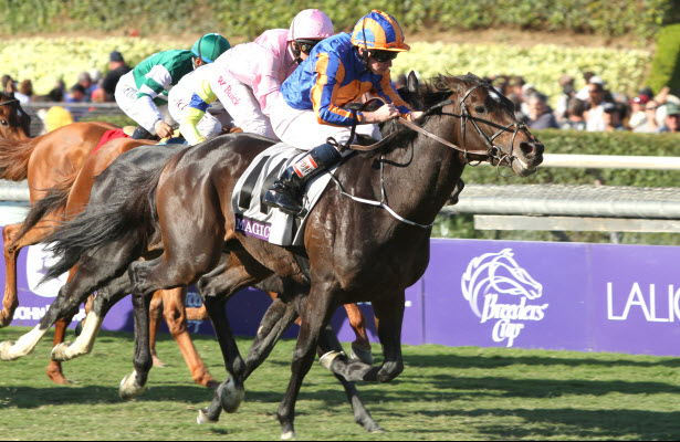 2014 Breeders Cup Charts