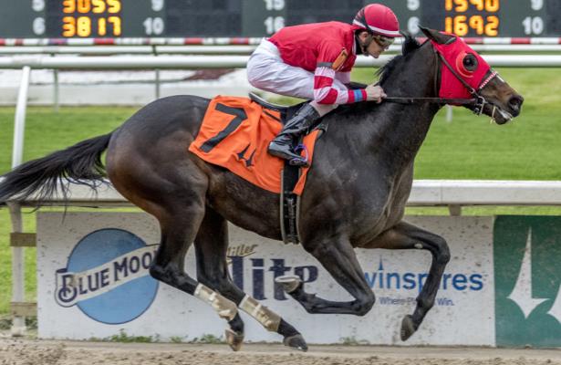 'Fit as he can be,' Major Fed heading straight to Kentucky Derby