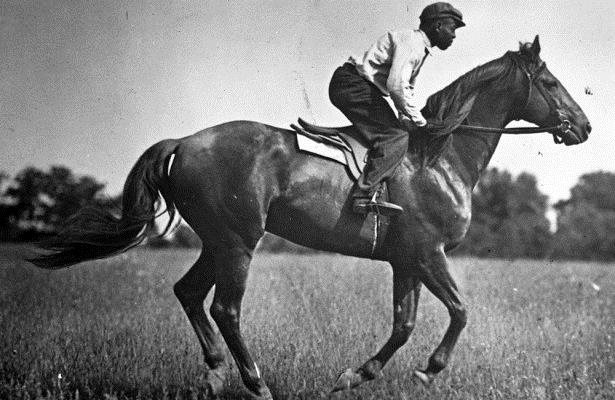 Legendary Horse: Man o' War - Horse Racing Nation