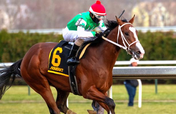 Maximus Mischief to bypass Fountain of Youth Stakes