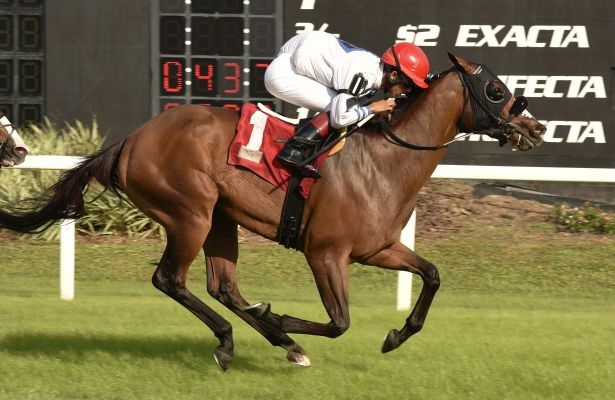 Miz Mayhem_Lightning City 2018_615x400