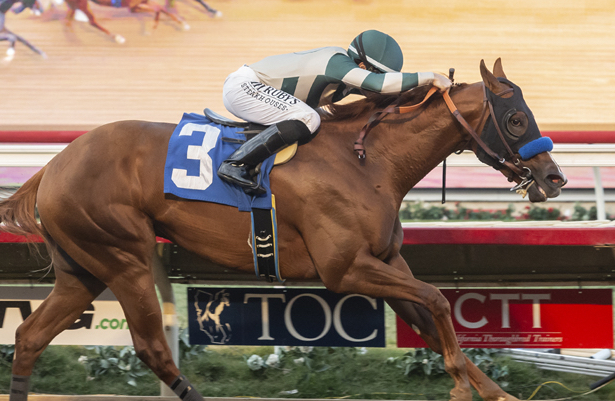 Mucho Gusto may not be done on 2019 Kentucky Derby trail