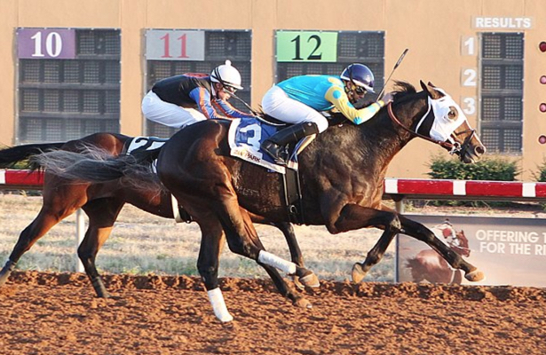 zia park casino horse races