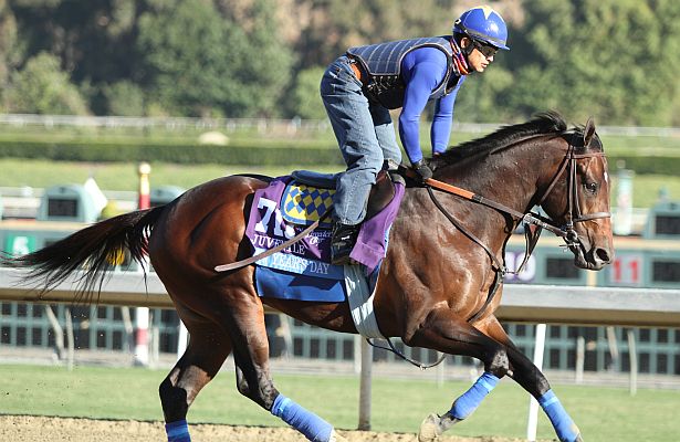Bloodlines: undefeated maximum security flatters sire new year's day New Year's Day Retired - Horse Racing Nation