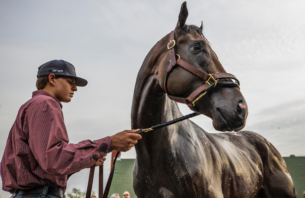 Kentucky Derby 2019 Favorite Omaha Beach To Scratch