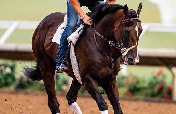 See It Omaha Beach Getting His Air In Latest Del Mar Workout