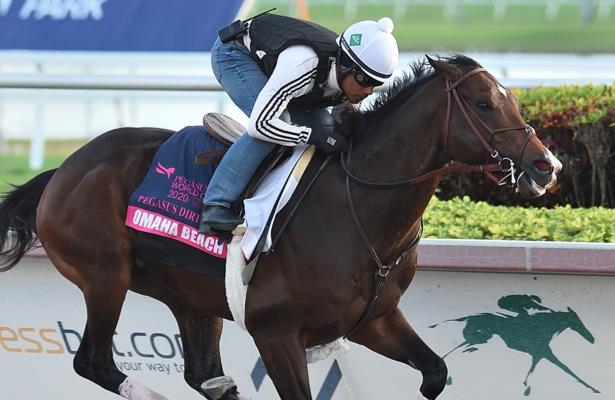 Updated Pegasus World Cup 2020 Odds And Analysis