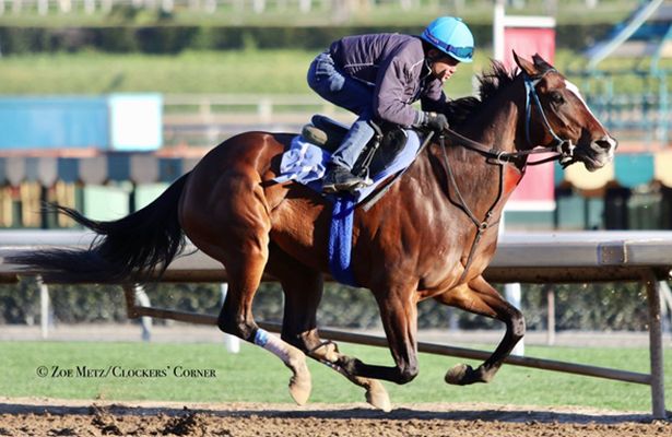 Paradise Woods_horse_Santa Anita 2019_615x400