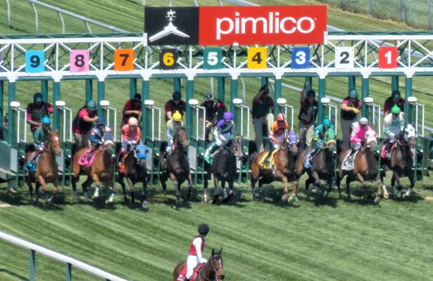 Pimlico_Starting_Gate_615x400_orig.jpg