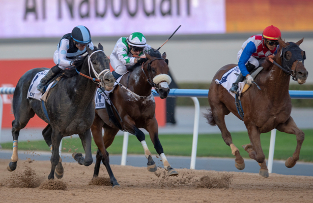 Plus Que Parfait Rebounds To Win Uae Derby On To Kentucky 1780