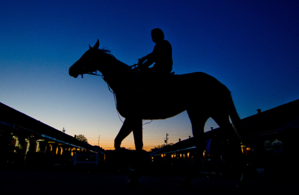 Study: Low Lasix dose 24 hours out shows 'great promise' - Horse Racing Nation