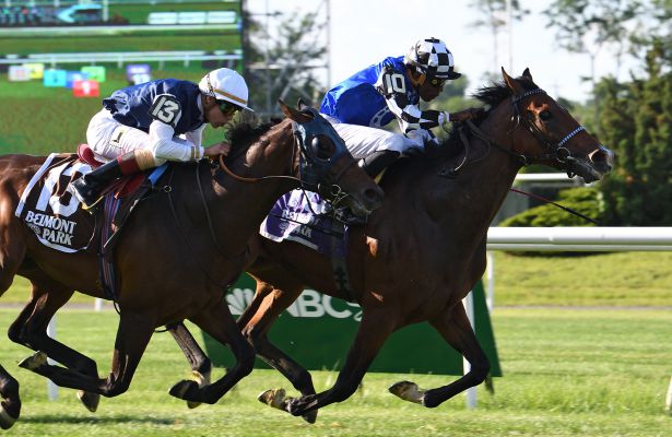 red-cardinal-takes-home-the-gold-in-belmont-gold-cup