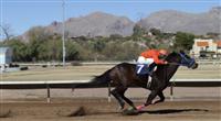 Rillito Race Track, Tucson, AZ