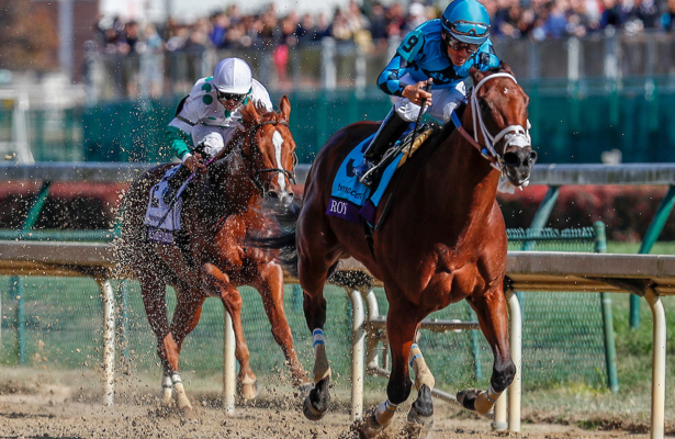 Bevy of American horses nominated for Dubai World Cup