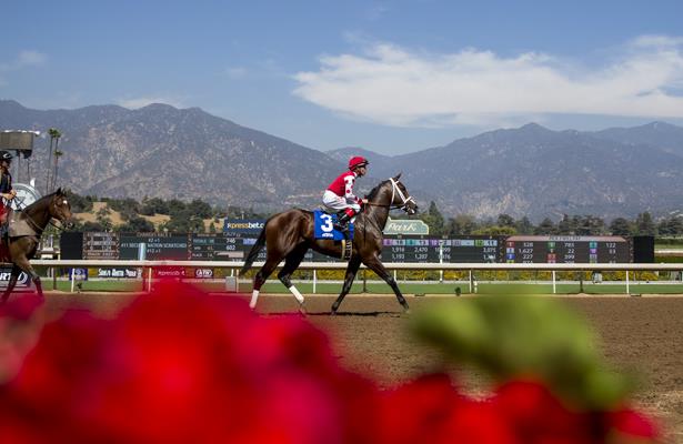 Santa Anita Entries Results