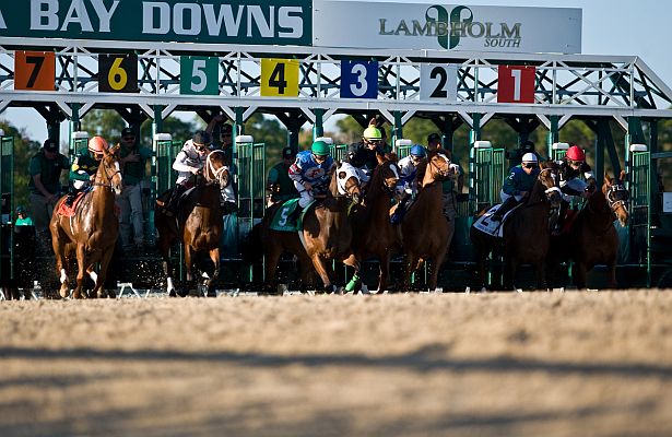 Tampa bay downs calendar