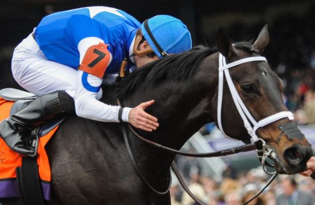 Time called on career of Royal Ascot heroine Tepin