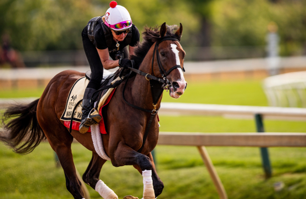 Preakness Stakes 2019: Post Positions, Picks And More