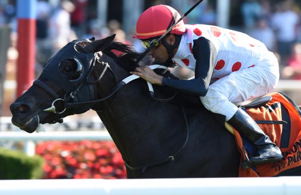 Win Win Win in 'a good spot' for return in Gulfstream's First Defence 