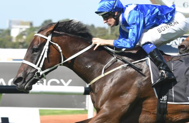 winx horse caps